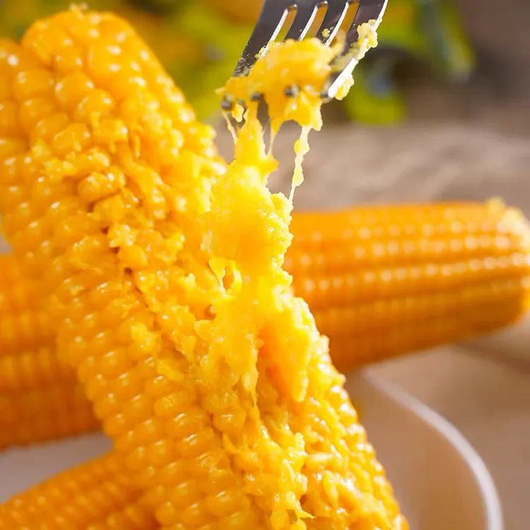 东北特产头茬黄糯玉米棒真空包装新鲜甜糯苞米粘非即食粗粮代餐
