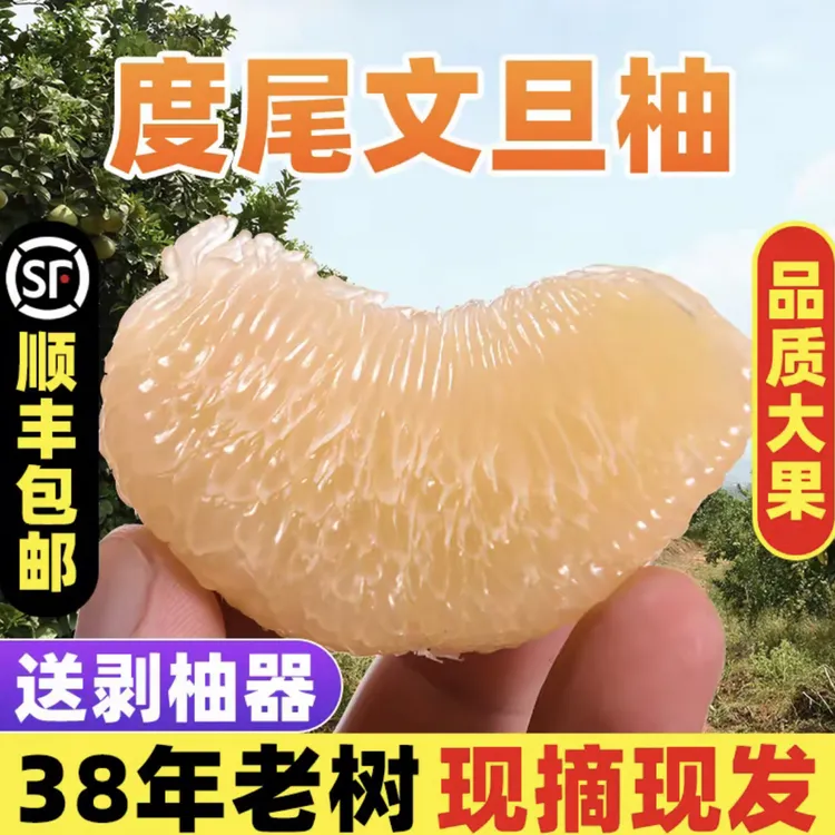 福建度尾38年文旦柚老树结红心白心新鲜当季现采现摘孕妇时令水果