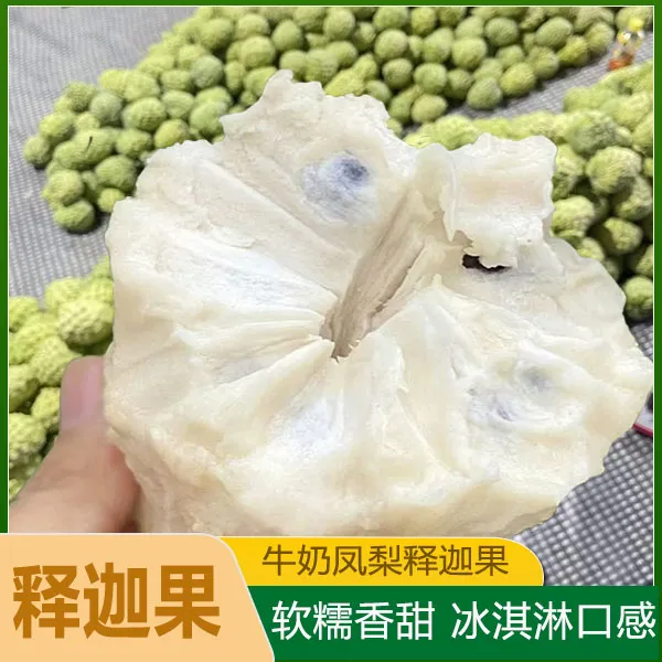 【农家自种】广西农家自种凤梨牛奶释迦果 新鲜现摘大果莲雾水果