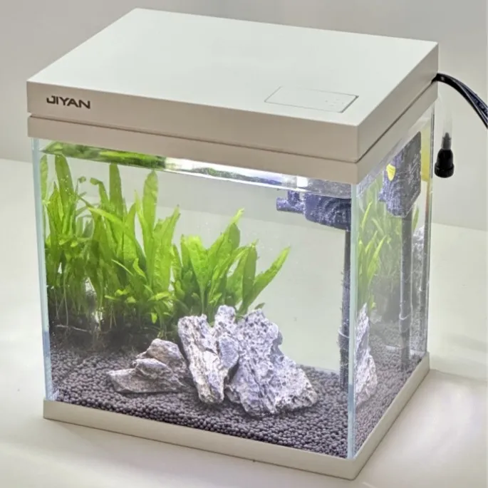 超白自循环斗鱼金鱼缸生态缸家用客厅小型鱼生态玻璃缸免换水超白