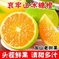 哀牢山冰糖橙青皮橙子清甜多汁当季新鲜水果