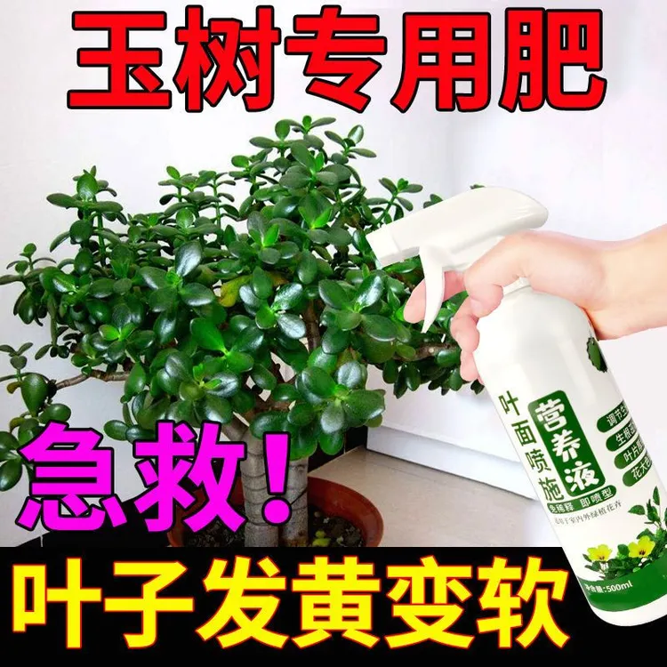 玉树黄叶专用营养液肥料绿叶盆景盆栽复合肥有机肥家庭四季缓释肥