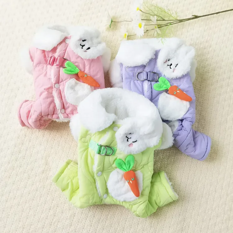 [宠物服装]直播间过款