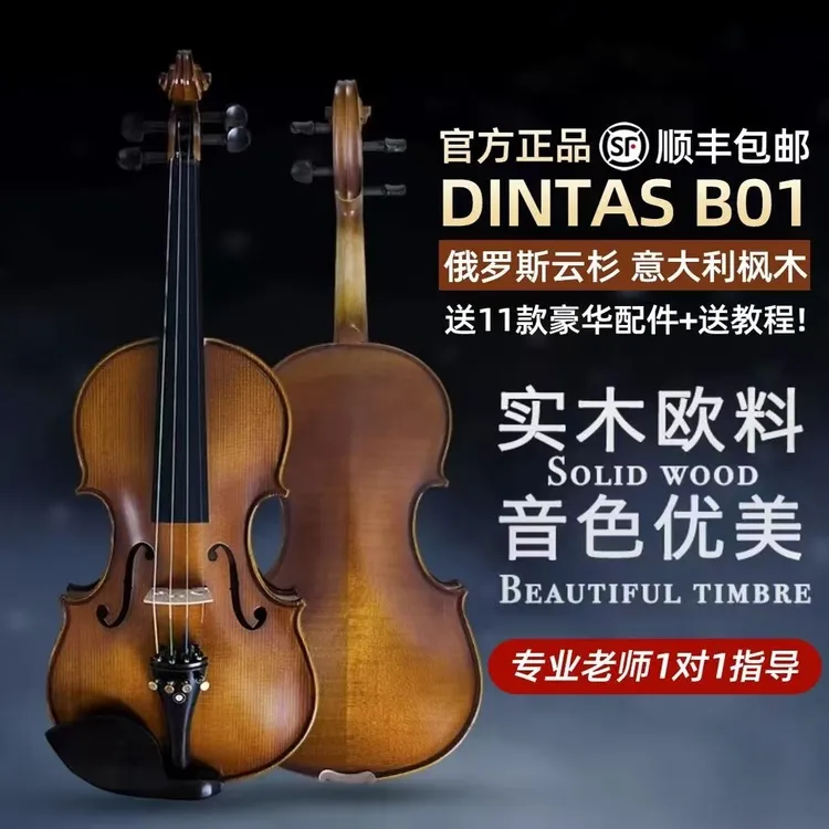 丁塔斯B01虎纹欧料小提琴初学者入门儿童成人自学练习考级小提琴