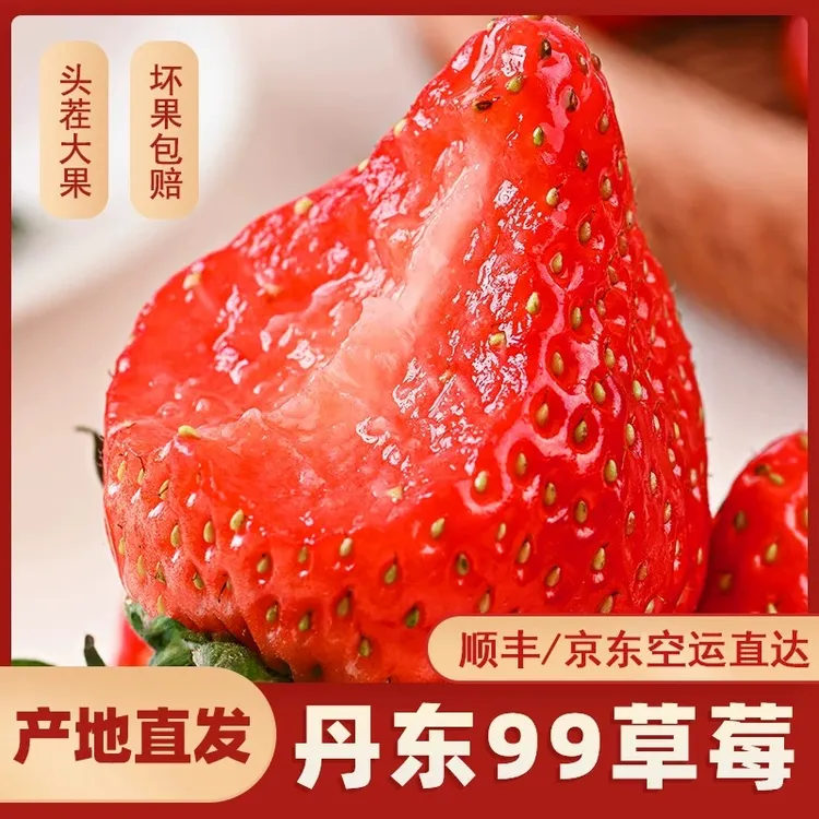丹东九九红颜牛奶大新鲜采摘当季水果产地直发包邮草莓丹东草莓