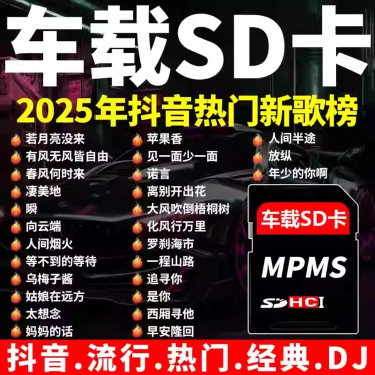 汽车载SD卡歌曲2025新款音乐sd高品音质奥迪大众音响通用大内存卡