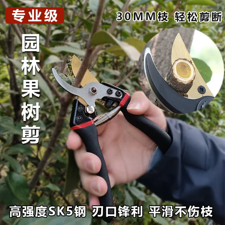 强力剪树枝剪刀SK5剪刀修果树枝花枝专用园艺剪刀粗枝嫁接工具剪