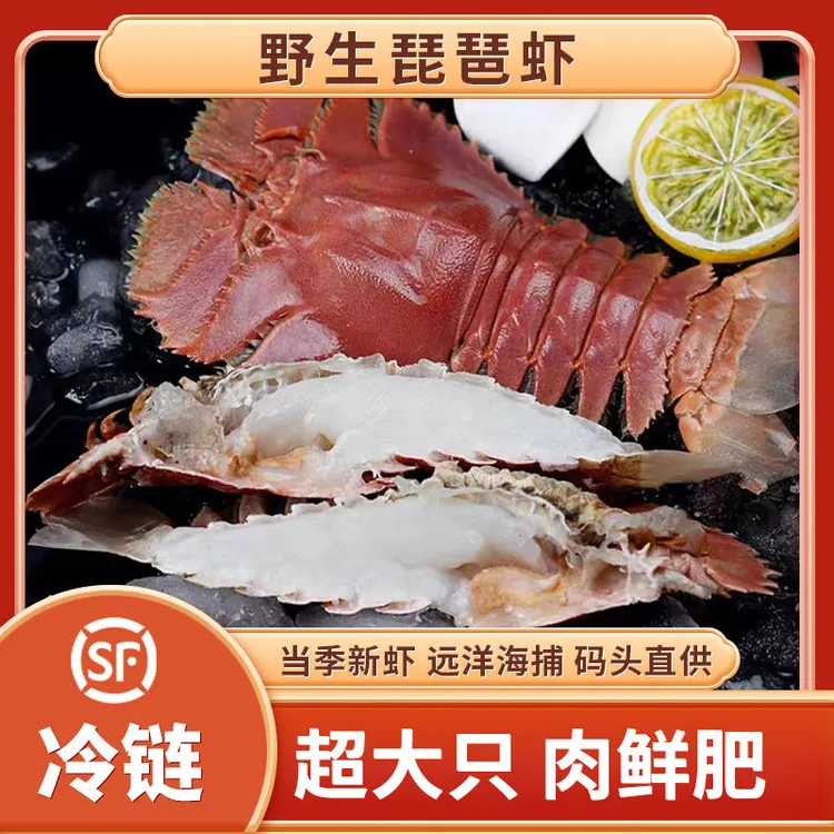 2025新款新捕高品质琵琶虾特大鲜活冷冻九齿虾新鲜海捕海虾装