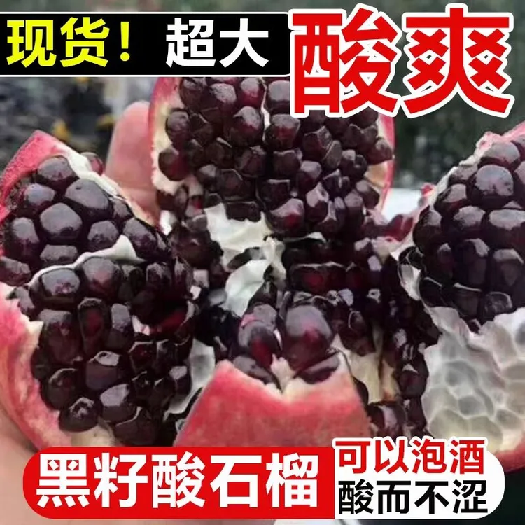 四川攀枝花黑珍珠软籽酸石榴新鲜孕妇水果...泡酒酸石榴