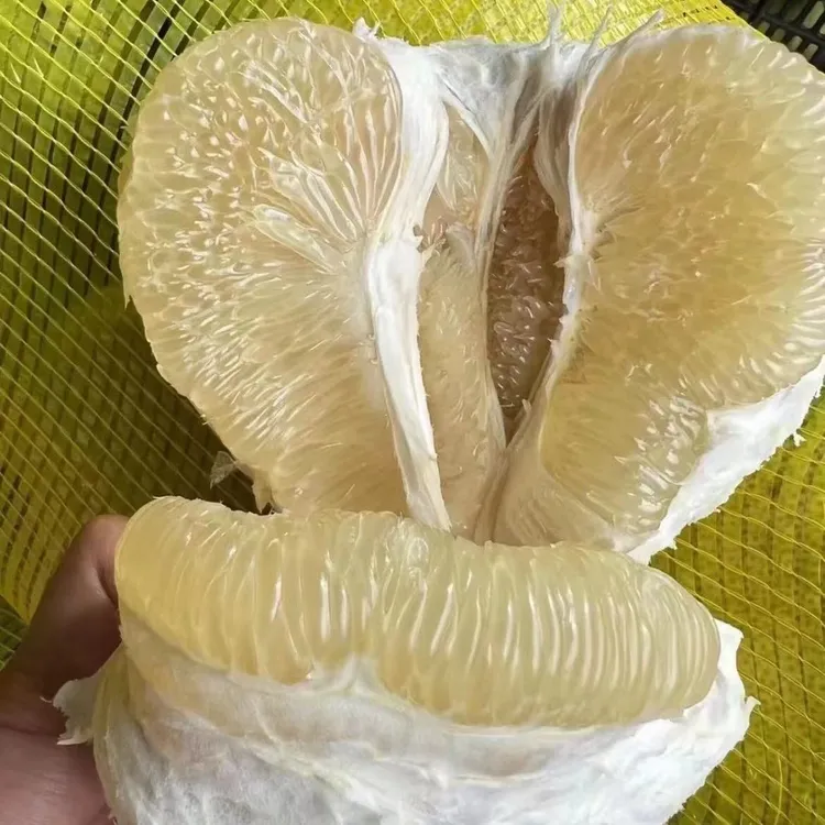 云南西双版纳傣柚新鲜青皮白心多汁皮薄当季水果水果店