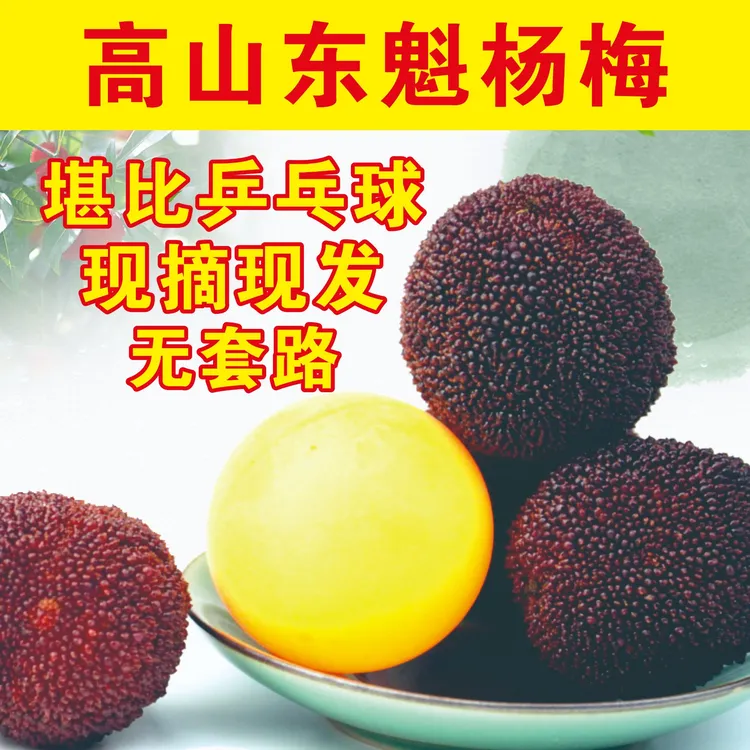 甄亿香严选 2025新上市正宗仙居东魁杨梅青田杨梅顺丰冷链全国发