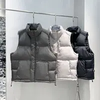 【赢家】冬季轻量简约百搭款立领科技棉马甲9900