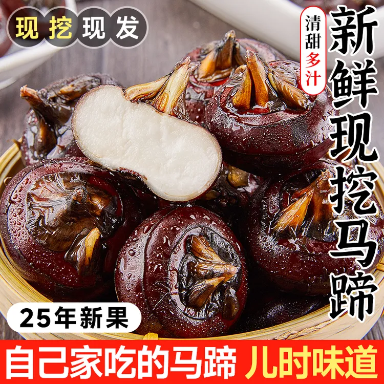新鲜马蹄现挖荸荠应当季水果蔬菜现挖马蹄莲脆地栗梨饽荠中果