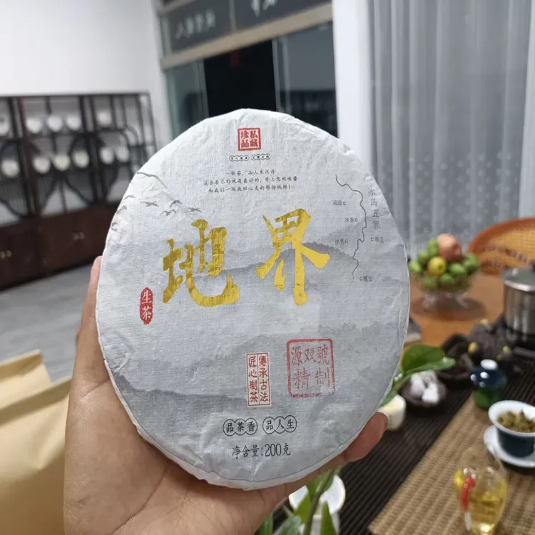 冰岛地界春普洱茶生茶香气馥郁 甘甜细腻源头纯料