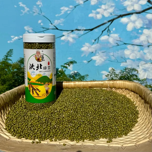 【陕北山地绿豆】拓鲜生陕北特产新绿豆精挑细选900g～5斤包邮