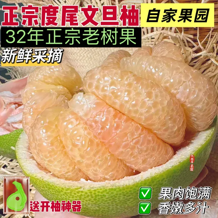 正宗福建度尾柚子红心文旦柚新鲜当季现摘孕妇应季时令水果