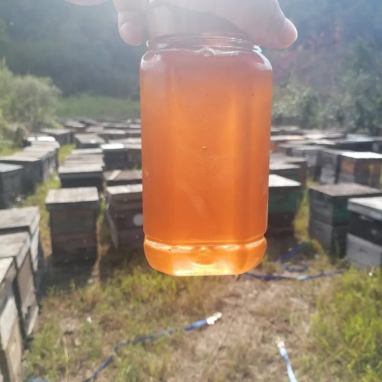甘肃高原天然成熟原蜜蜂农艳子家直销两斤装包邮