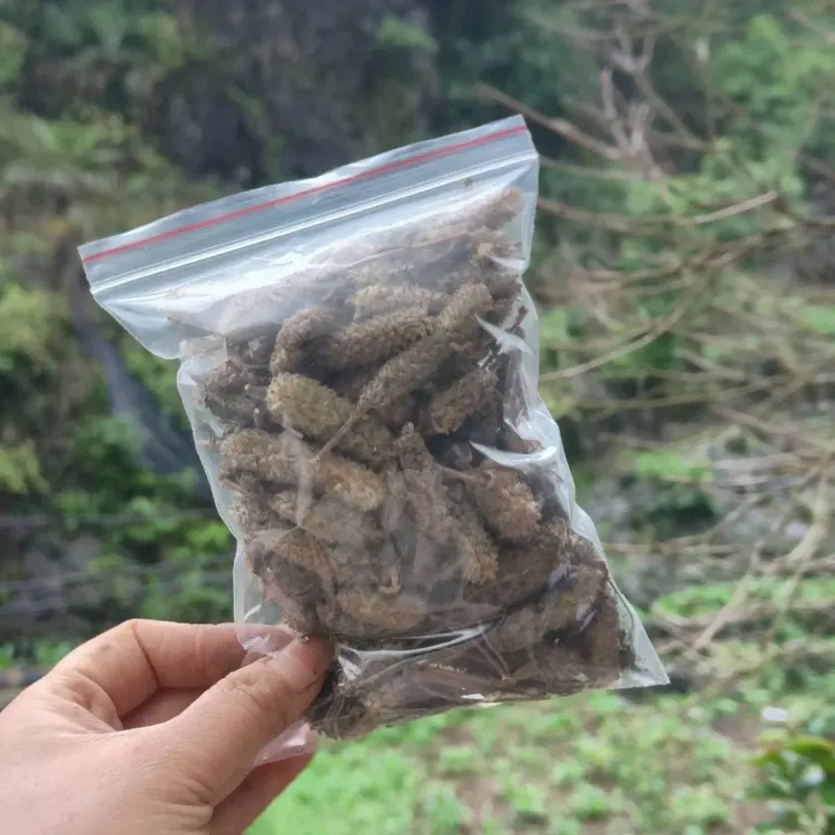 贵州毕节农特产草本干木姜花农家栽种调香味用正宗新货