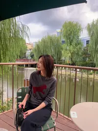 晓夏自制 “小飞马” 25秋精纺超细羊毛手工刺绣马仔百搭圆领针织衫