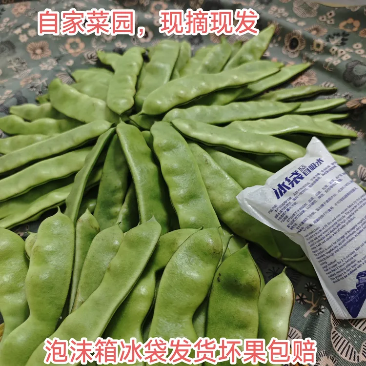 原味新鲜油豆角东北现摘现发纯油豆角坏果包赔自家菜园无防腐包邮