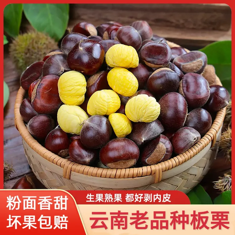 云南新板栗老品种板栗老树板栗现摘现发自然落果大板栗