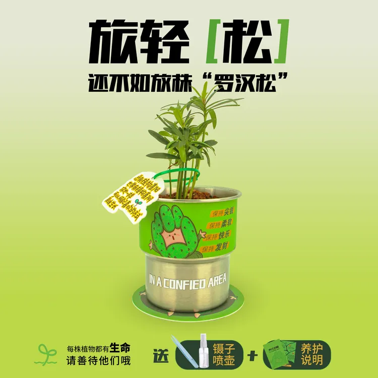 方寸之间放轻松室内桌面创意绿植绿植微景观造景植物微景观苔藓