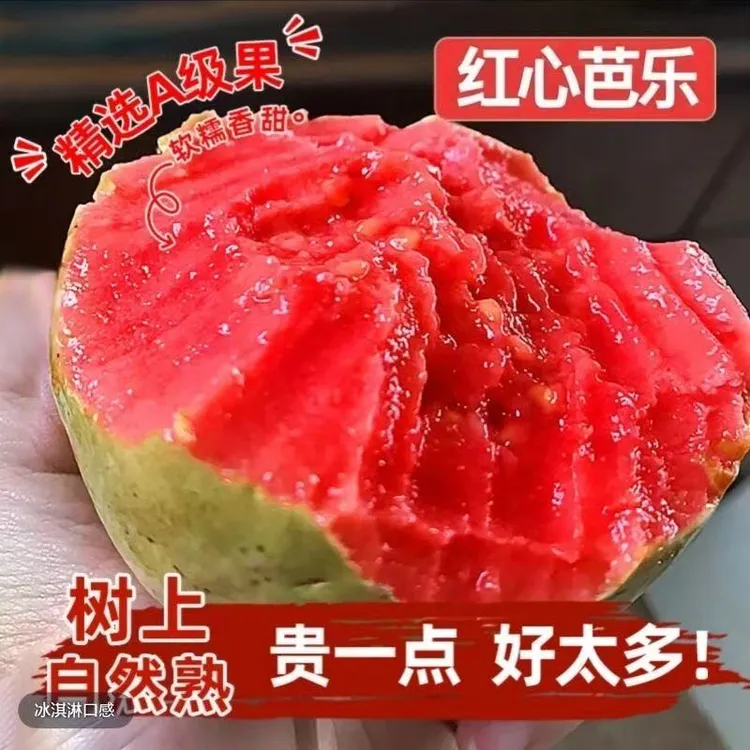 【放软再吃】正宗广西红心芭乐新鲜水果奶油芭乐芭乐红心番石榴奶油