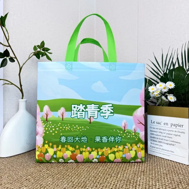 踏青季水果手提袋环保可定制商品图