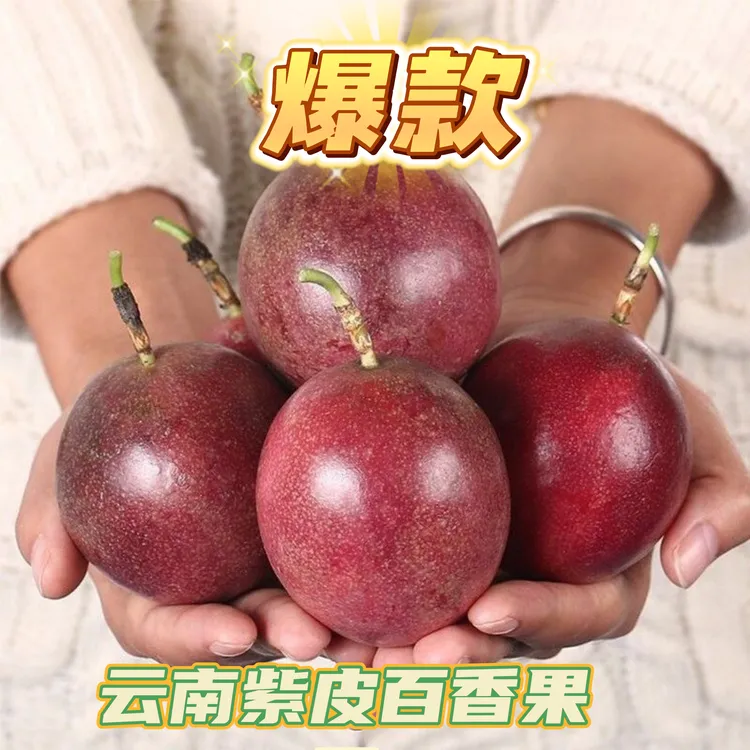 【沛沛推荐】云南应季新鲜采摘紫皮百香果大果酸甜多汁现摘现发
