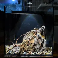 10.微景观造景背滤鱼缸20x15x20[鱼缸+三色射灯+水泵+滤材+造景]