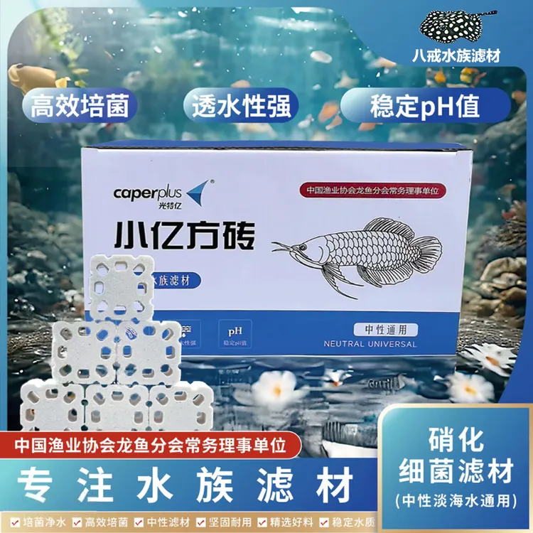 caperplus/光特亿正品小方砖快速培菌净水滤材除氨氮亚硝酸盐滤材