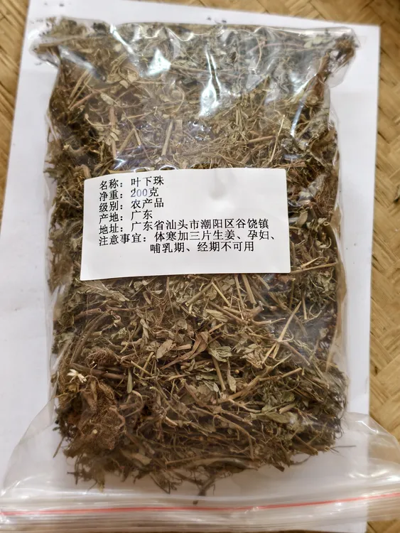 【叶下珠，切碎碎包装200克】