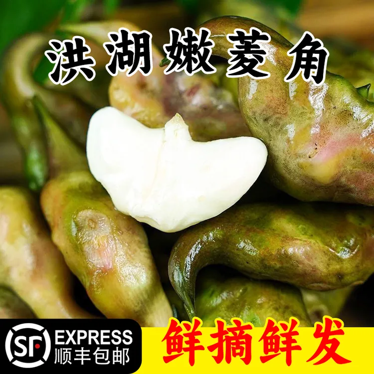 【华贵】丰收季新鲜洪湖嫩菱角3斤 老菱角1斤/3斤/5斤顺丰/京东包邮