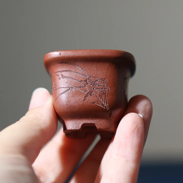 紫砂花盆微型盆景盆小盆迷你盆中国风张可磊手工盆掌上盆栽拇指盆