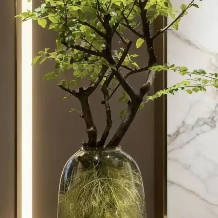 [网红小叶女贞】鲜切枝条水培小叶女贞四季居家室内懒人摆件好养