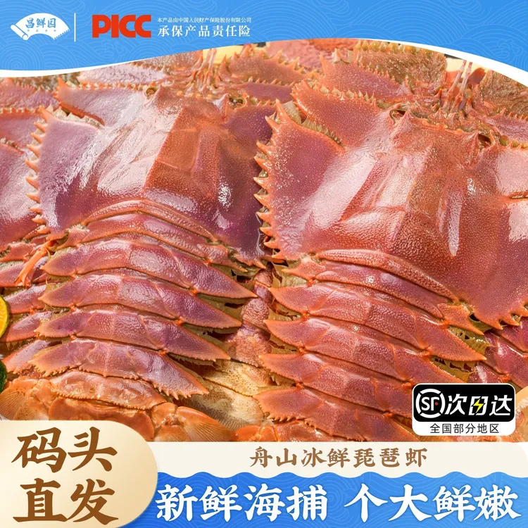 【达人】舟山琵琶虾船冻九齿扇虾海鲜虾姑濑尿虾生鲜深海冷冻爬虾