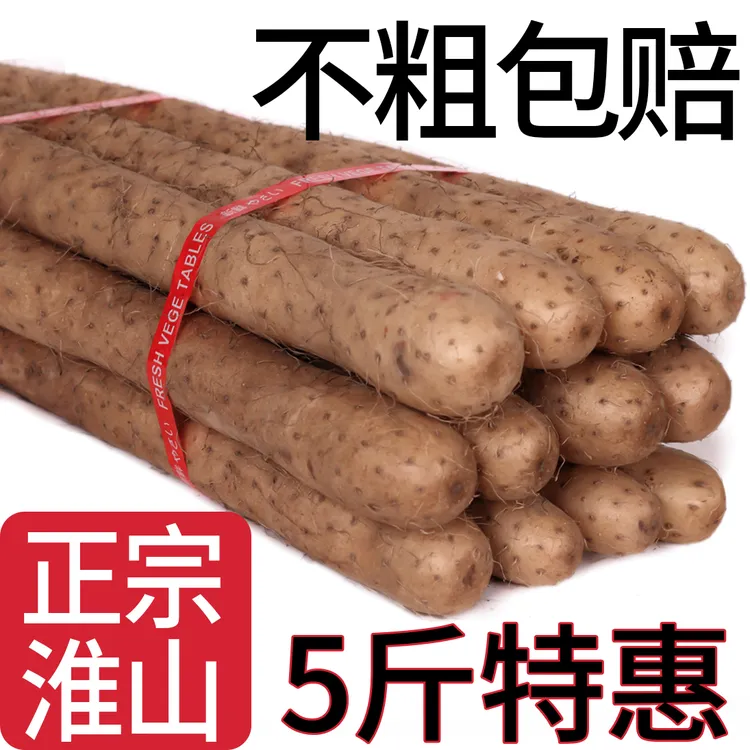 温县正宗垆土铁棍山药新鲜采挖粉糯营养健康滋补蔬菜食材可入药
