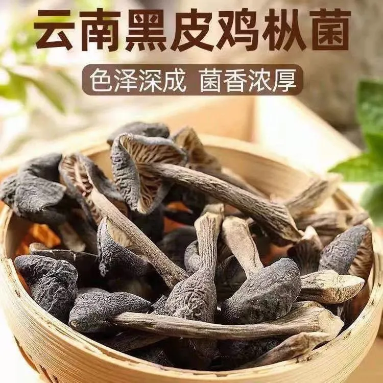 云南黑皮鸡枞菌干货精选煲汤炒菜鲜美开胃菌汤包养生虫草花干货