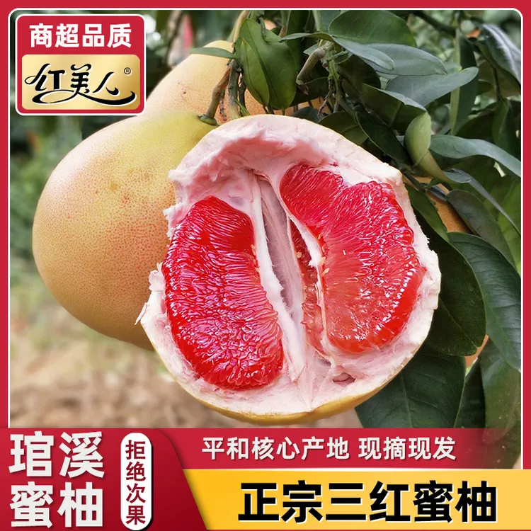 【琯溪蜜柚】平和三红蜜柚新鲜采摘柚子香甜爽口多汁当季水果1上