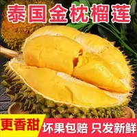 (小马)2.泰国金枕榴莲老树榴莲生切不售后辨别生熟