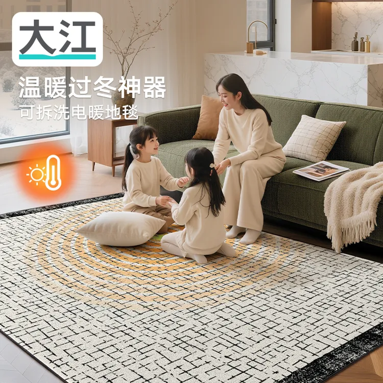 大江可拆洗拆卸发热毯客厅大地毯高级感加热毯卧室床边毯西西夫人
