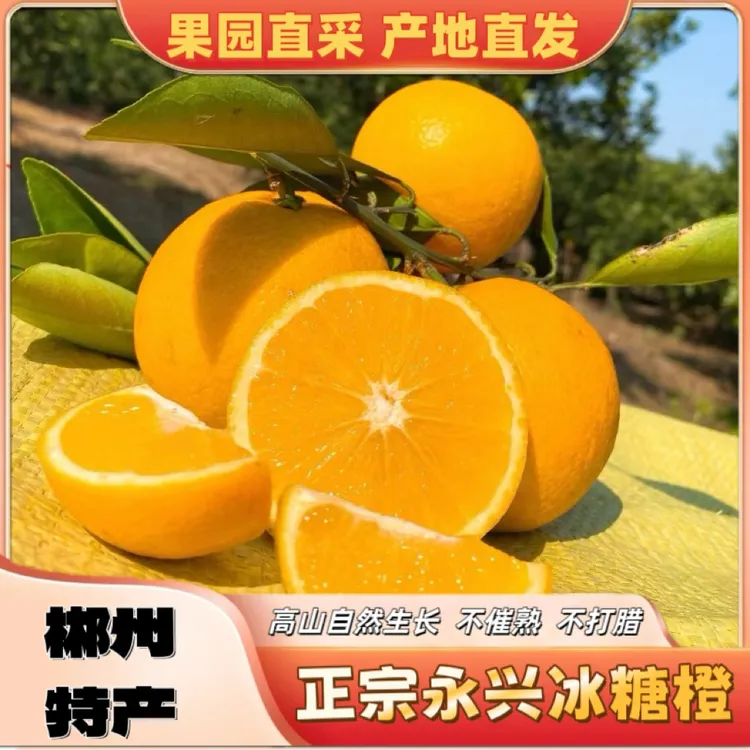 正宗永兴冰糖橙郴州特产产地直发新鲜纯甜多汁好吃不上火水果维C