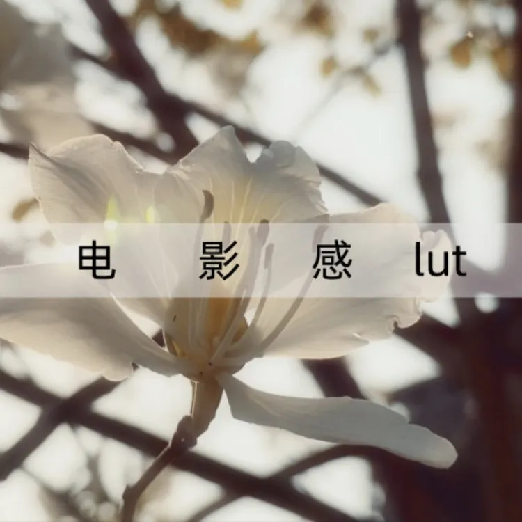 电影感调色滤镜预设任何手机都可以用