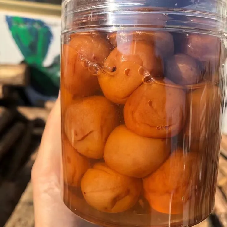 咸梅子配料泡水广西横县莫莉食品特产