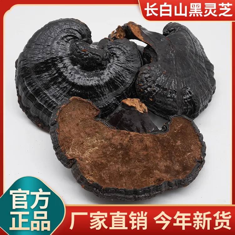 粒然堂正宗长白山黑灵芝官方正品灵芝干货煲汤泡水整枝黑灵芝批发