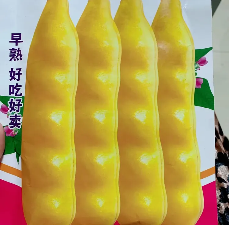 【香蕉豆角种子】香蕉豆角种子家庭阳台小院盆栽地栽四季种植