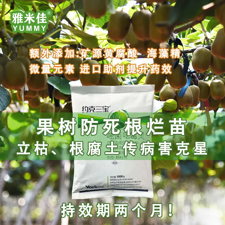 约克三宝嘧菌噁霉灵根腐病立枯病土传病害克星