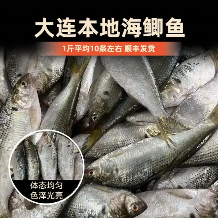 抢！ 零鲫鱼 新鲜下船 一斤平均10条左右 大连本地  顺丰包邮