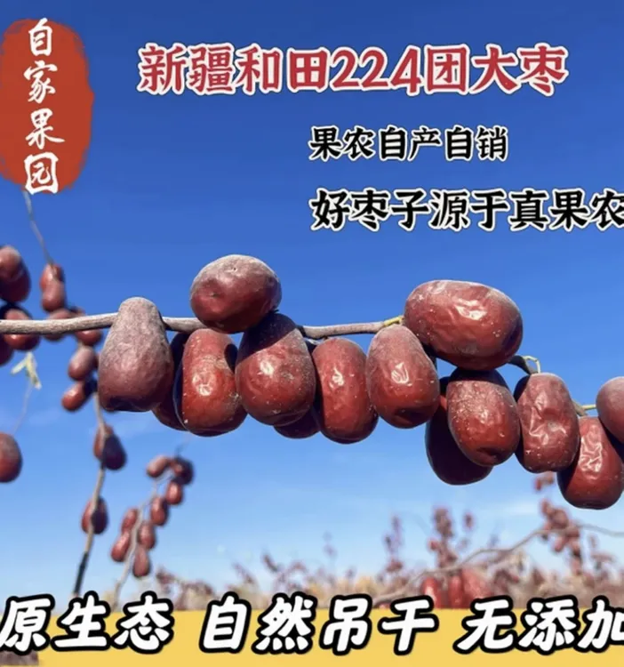 25年精选新疆和田大枣 特一级果 5斤 吊干枣 新疆产地直发包邮