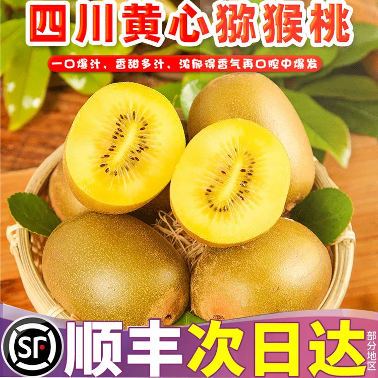 四川浦江黄心猕猴桃新鲜奇异果精品水果孕妇水果礼盒装顺丰包邮